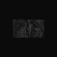 CIVNIDE - LABIA