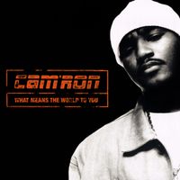 Cam'ron - What Means The World To You