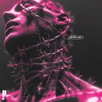PINKNOISE - NEVER LAST