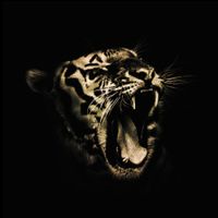 El Tigr3 - The Beast Within