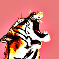 El Tigr3 - &iexcl;Roar!