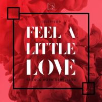 Televisor - Feel A Little Love