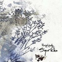 Sigur R&oacute;s - Hopp&iacute;polla