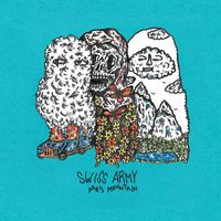 Swiss Army - Paris Mountain