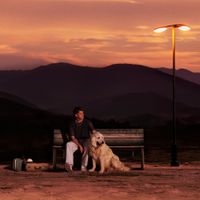 Jamie Miller - Long Way Home
