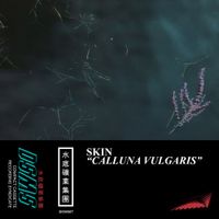 Skin - Calluna Vulgaris