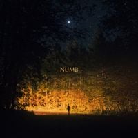 Goody Grace - Numb