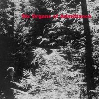 Six Organs of Admittance - Six Organs of Admittance