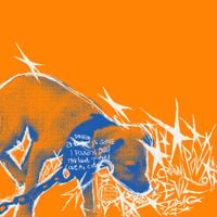 DYGL - Cut the Collar