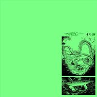 DoorHead - Bridge9