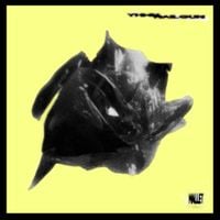 YHWH Nailgun - Mallet