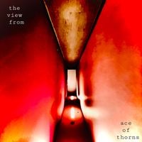 Ace of Thorns - the view from