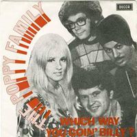 The Poppy Family - Which Way You Goin' Billy?