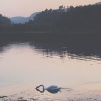 Beik Poel - En Aften Ved Svanefossen