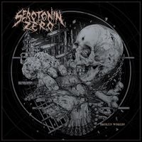 Serotonin Zero - Broken Worlds