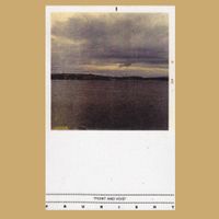 Prurient - Point And Void