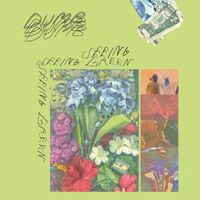 Dumb - Seeing Green