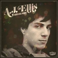 A. J. Ellis - Never a Dull Moment