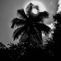 Mike Cooper - Under The Volcano