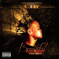 C. Ray - A Beautiful Accident