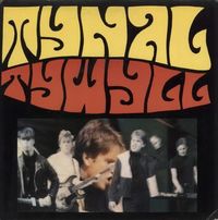 Tynal Tywyll - Syrthio Mewn Cariad