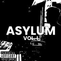 INTERNATIONAL MATADOR - ASYLUM, VOL. I