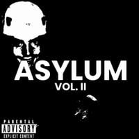 INTERNATIONAL MATADOR - ASYLUM, VOL. II