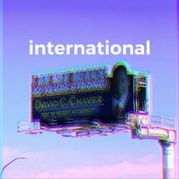 INTERNATIONAL MATADOR - international