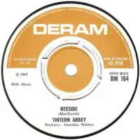 Tintern Abbey - Beeside / Vacuum Cleaner