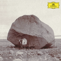 Snorri Hallgr&iacute;msson - Longer shadows, softer stones