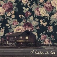 I Hate It Too - I Hate It Too