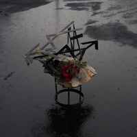 Viuda - Provinciana