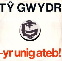 Tŷ Gwydr - Yr Unig Ateb!