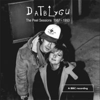 Datblygu - BBC Peel Sessions