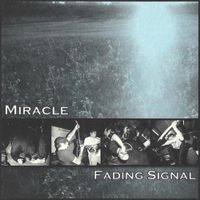 Miracle - Split