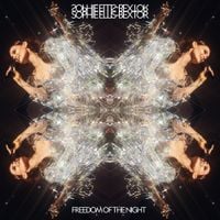 Sophie Ellis-Bextor - Freedom of the Night