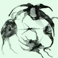 Kassel Jaeger - ARITHW