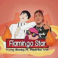 Yvng Swag - Flamingo Star
