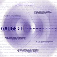 Gauge - I