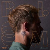 Navar - Bloom