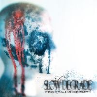 Slow Degrade - Who Will Fix Me Now?