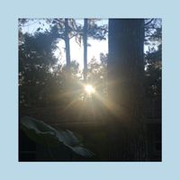 Dense Blazing Star - Goodnight, Whatever That Is