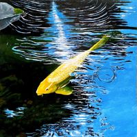 Blue Smiley - pond