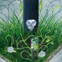 Forest Casual - Drum, Botany & the Brash