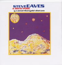 Steve Eaves A Rhai Pobl - Y Canol Llonydd Distaw