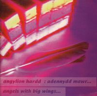 Various Artists - Angylion Hardd : Adennydd Mawr - Angels With Big Wings