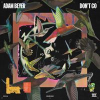 Adam Bayer - Don't Go
