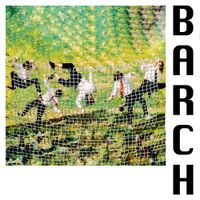 Grote Geelstaart - Barch