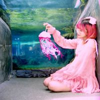 LilyPichu - jellyfish