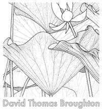 David Thomas Broughton - Live 2017